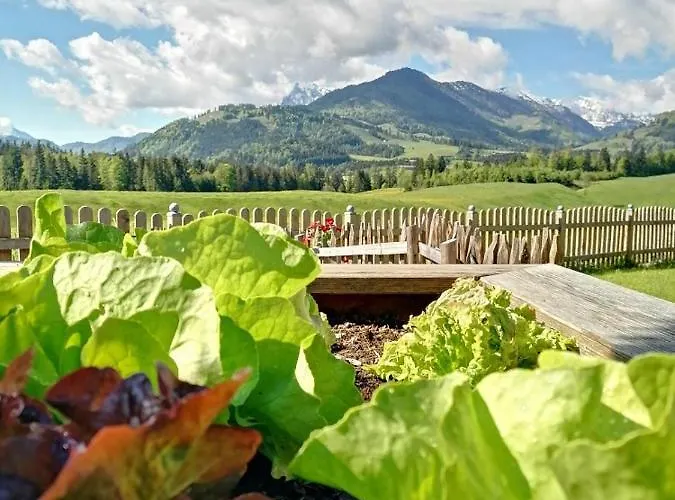 Apartament Bergblick