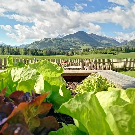 Apartmán Bergblick